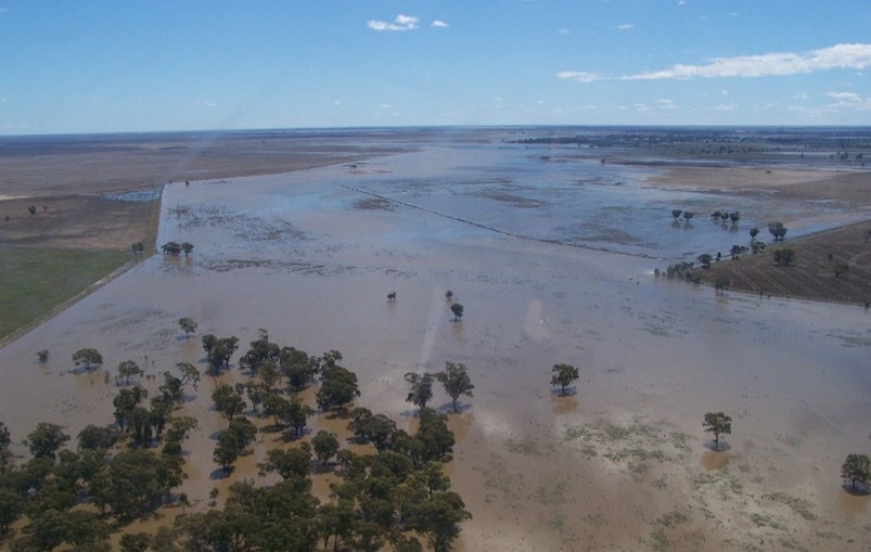 billabong creek floodplain management image.jpg