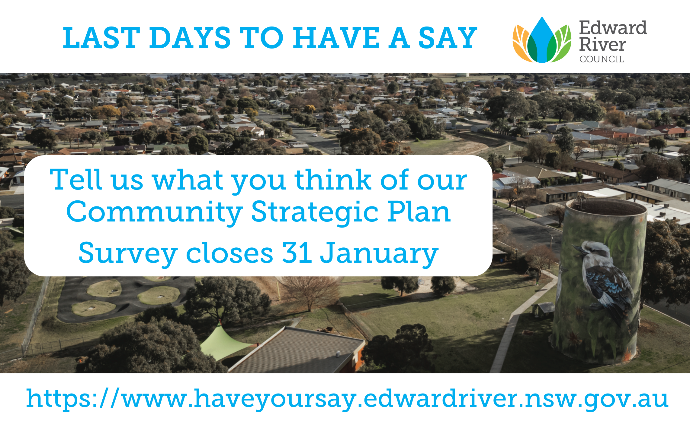 have your say.png